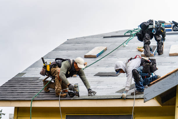 Professional Roofing technician working in Conrad, IA